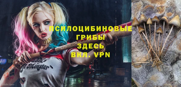 индика Осташков