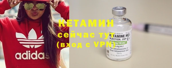 индика Осташков