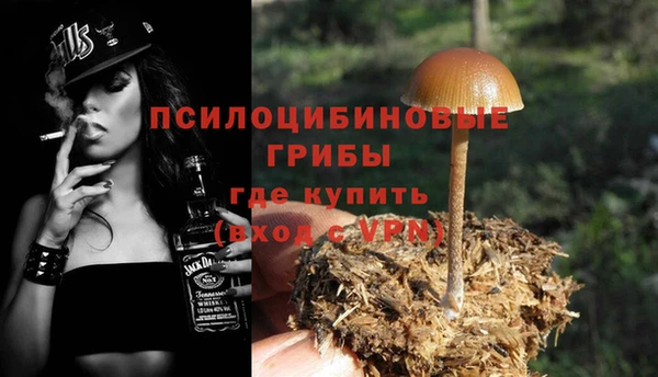 экстази Няндома
