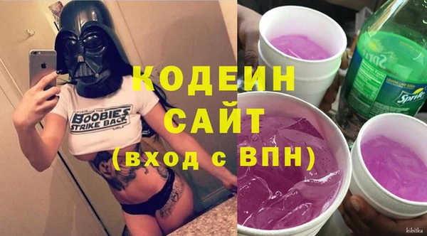 индика Осташков