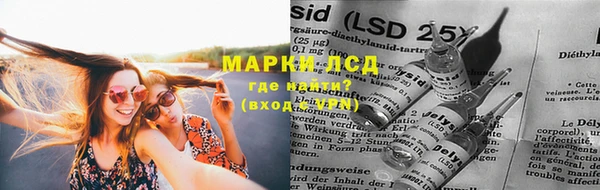 mdpv Новодвинск