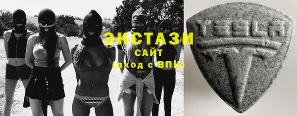 индика Осташков