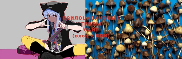 кокс Нязепетровск