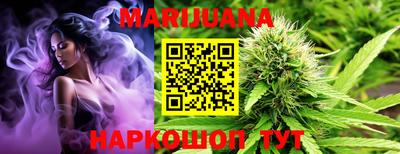 тгк Гай