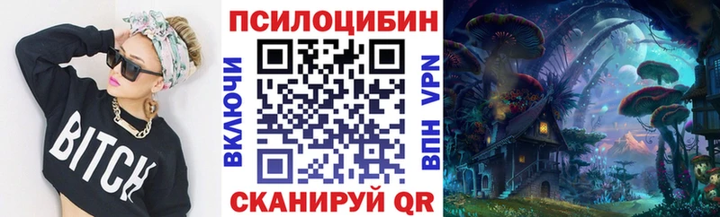 закладки  Морозовск  Галлюциногенные грибы мухоморы 