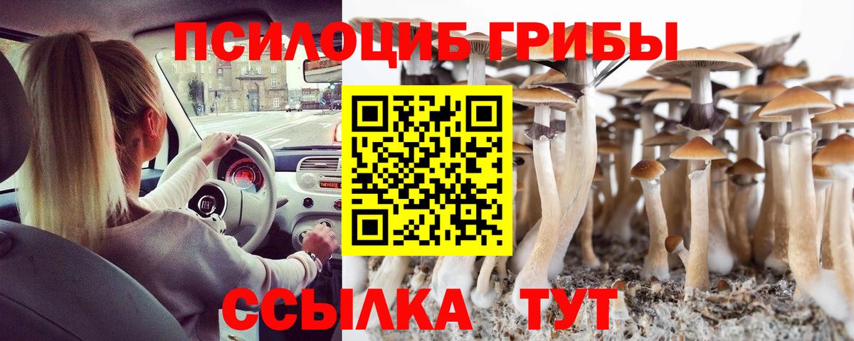 Морозовск  Псилоцибиновые грибы Psilocybe  Псилоцибиновые грибы Magic Shrooms  Вход с VPN 